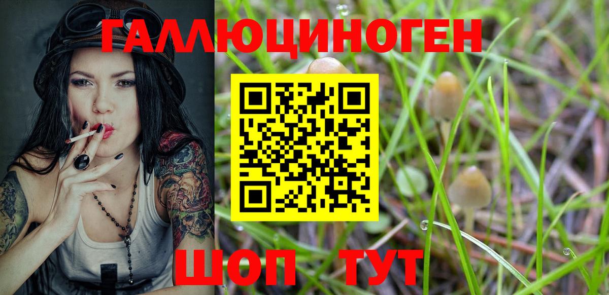 Псилоцибиновые грибы MAGIC MUSHROOMS  Вход с VPN  Туймазы  Псилоцибиновые грибы прущие грибы 